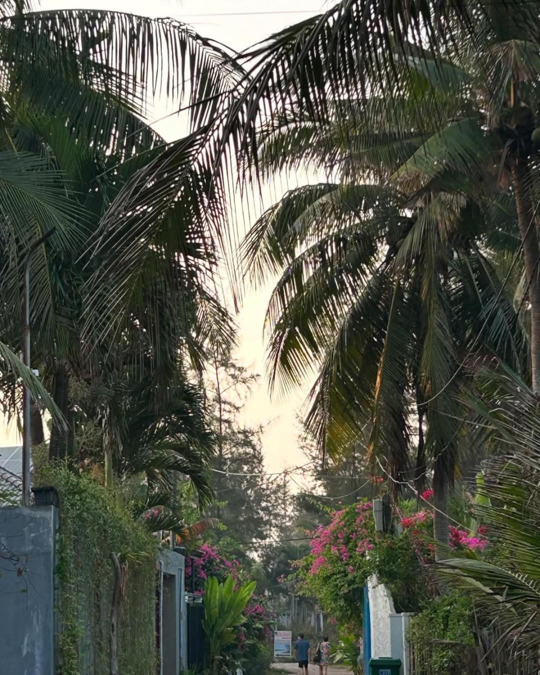 Seaside An Bang Homestay *